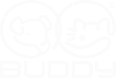 Buddy Toys