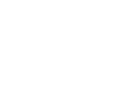Livre Birds